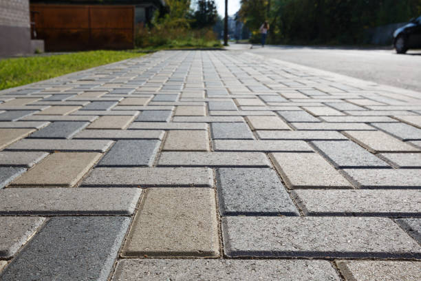 Best Driveway Paving Contractor  in Belvidere, IL
